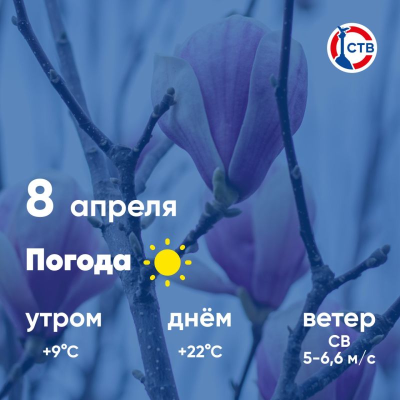 ������ ����, �������������! �������, 8 ������, � ������ ��������