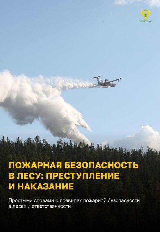 #��_�������. ������������ � �������� ������������ � ����: ������������ � ���������
