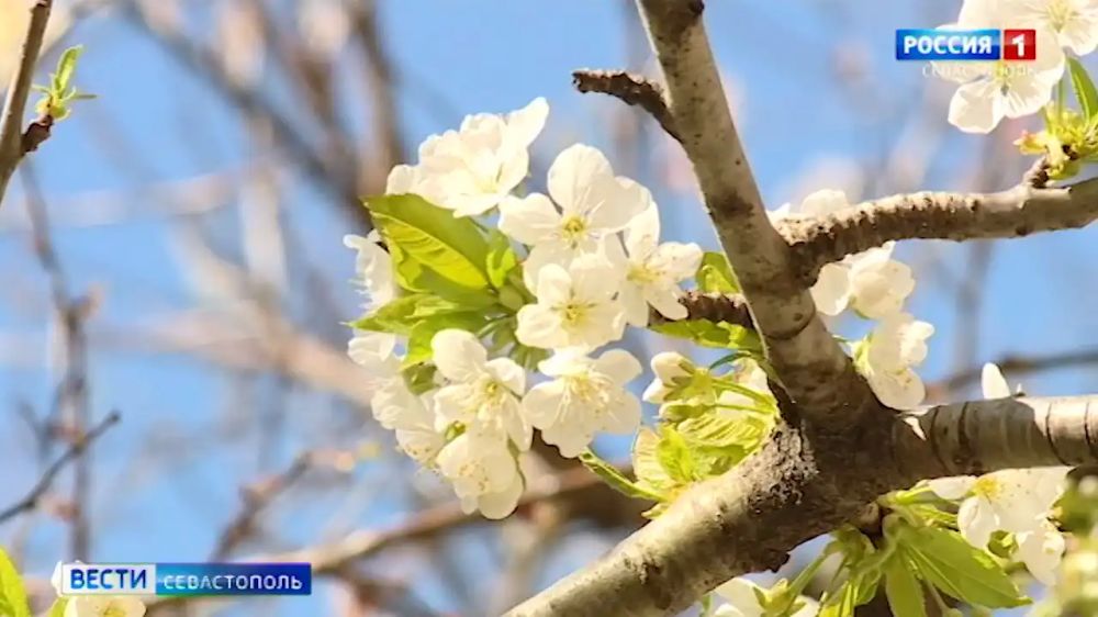 ����� �����������. ������ 14:30. 10.04.2024