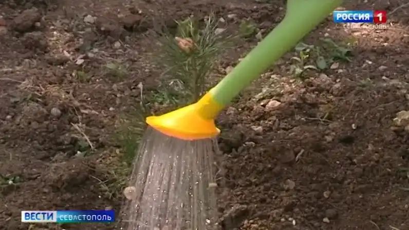 � ����������� ��������� ��������� �� ������������� ����� ����� �������