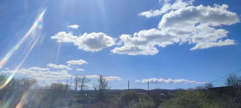 ������� 13 ������: � ���� ������ ����������, ����� �� ������ � �������