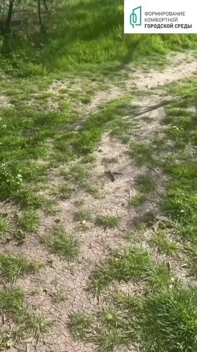 ������� �����: �������� 18 ���� �� ���������� ������������ ����������� �� ������ ������������ ���������� ��� ��������������� � 2025 ����