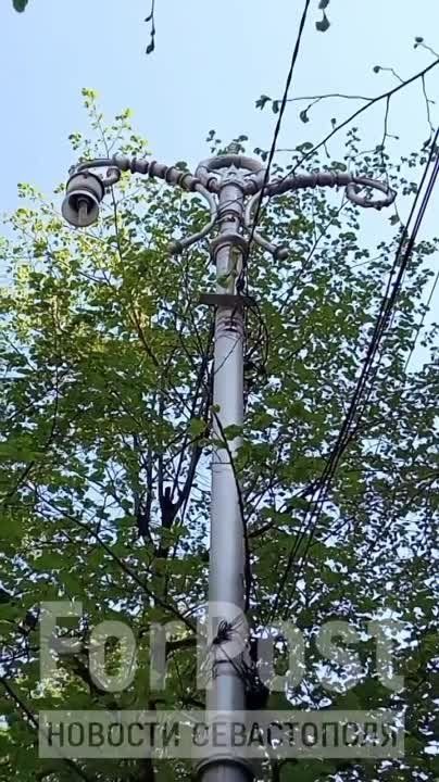 #���_�����. ��� � ������� ���������� �� ��. ��������? ����� � ������ ������ ������ ����������� ���� �� ���� ���������� ����������. ������ �������� ��������