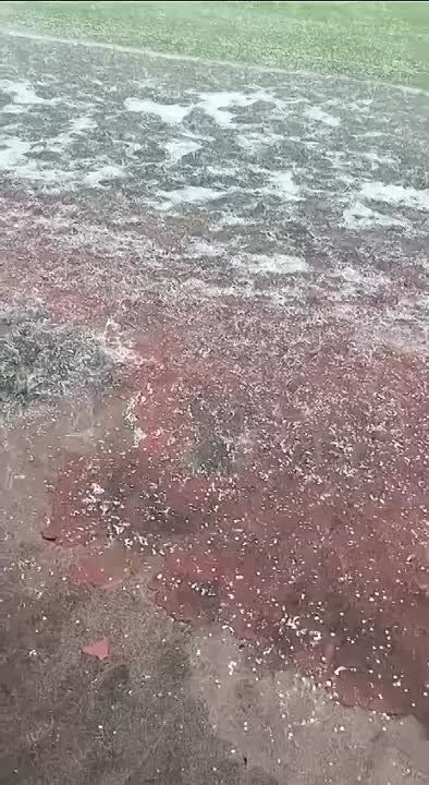 ������� � ��� ������. ��� 24 |