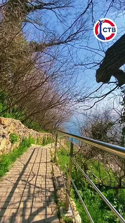 ������������ ��������� � ��� �������� � ���� �������� �� ��� ������� �����������
