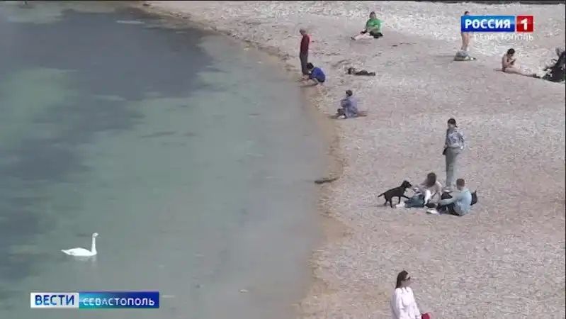 ��� ��� ���������� ������ � ����������� � ���������� ������