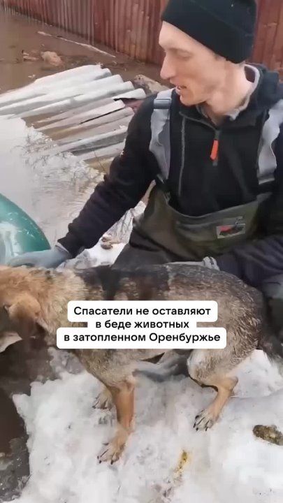 �������� ���������!. � ���������� ��������� ������ �� ������ �����, �� � ���������� ��������