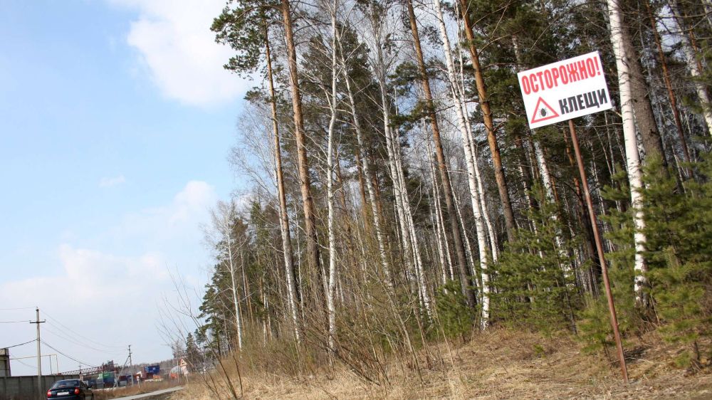 � ����� � ������ ���� ��� �������� ���������� �������� ����������� - ���������������