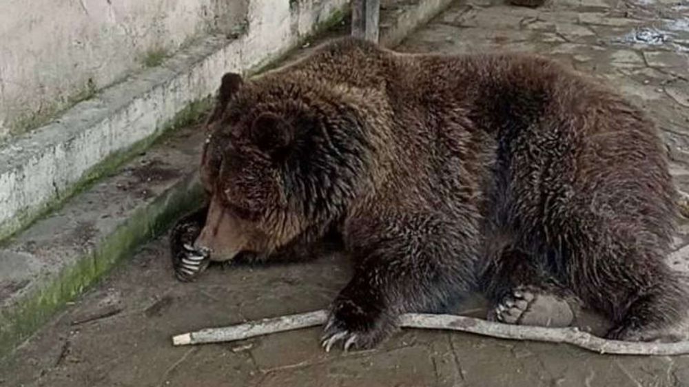 ��� ������ � ���������� �������� "����������" � ��������� ��������� ��������� �����������