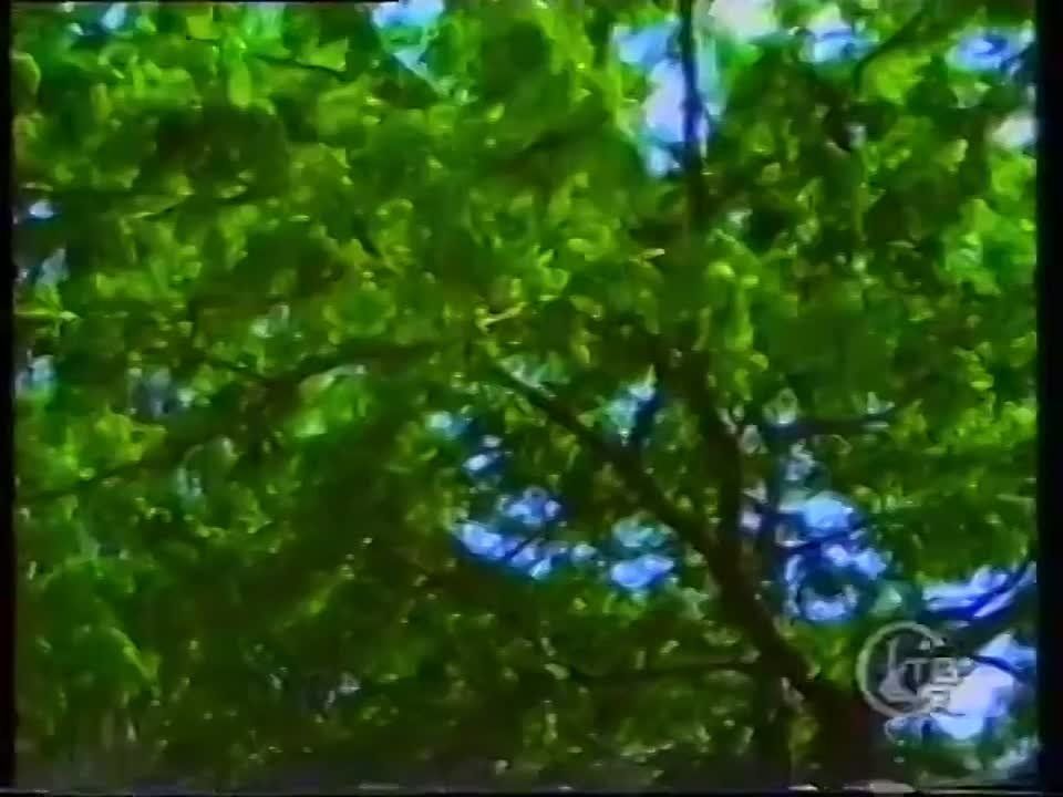 ����� ��� ����������� � 1992 ����? � �� ������� ������������� �����?