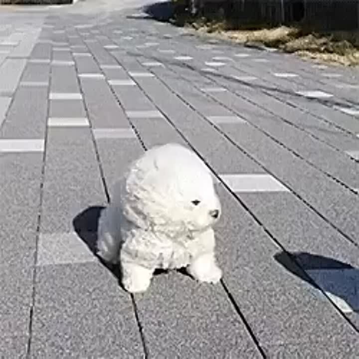 � ����������� ��������� ��������������