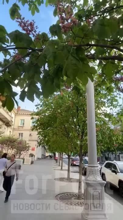 �������� �� ��� ���� ������, ����������� ��� ����� � ���� � �� ������� ������� ��� ������� ������� �������