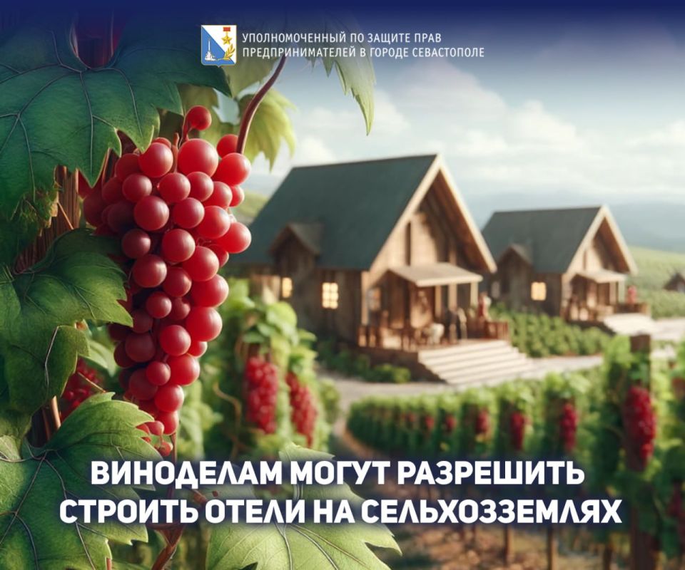 ���� �����������: ��������� ������ �������� ����� ������� ������������� � ������� ����������� ������ ������������� ������������� �������� �� ������ ��������������������� ����������, ������������� �������������� ����������