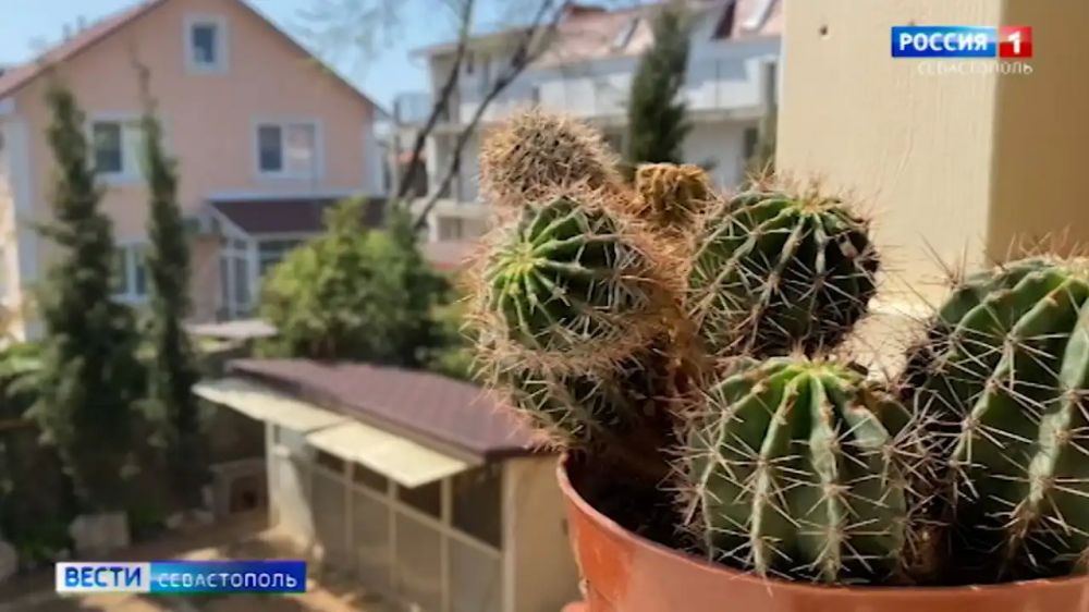 ������ ��������� ���������� �������� �������, ���������� � �����������