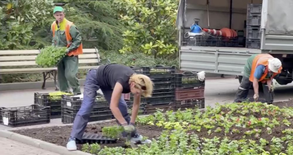 �� ���������� �������� ��������� ���������� 3D