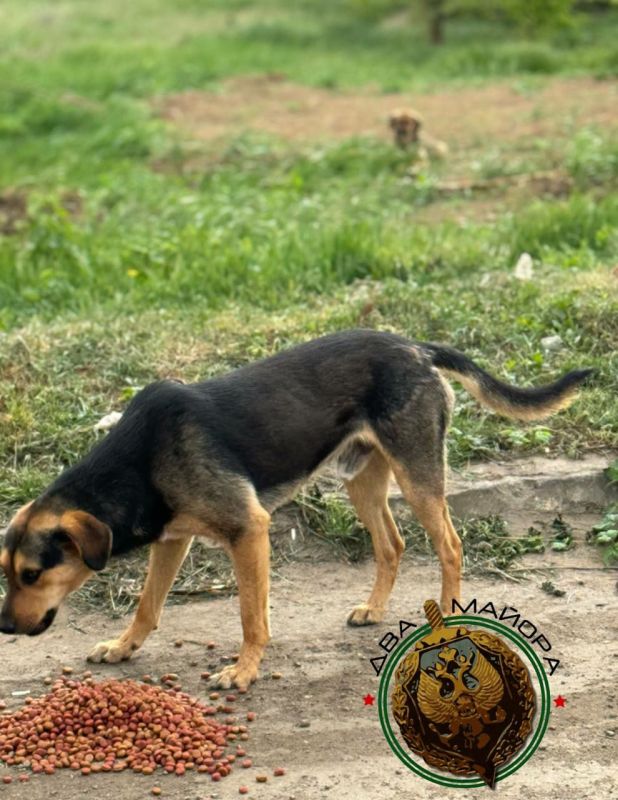 ����������� �������.. �������� ����������� �� ����������� ����������� ��� ������ 4�4 ������������� ��������� ����������� ������ ��� ������
