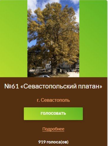 � 1 ��� �� 1 ������� 2024 ���� ������ ������� ����������� ������ ���� � 2024�