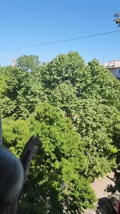 ��������� �������: �������� ������� ������������� �����, ������������ � �������� ������� ������� ������������� ������ ������...