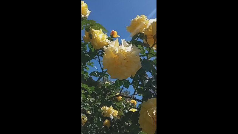 � ����������� ������� ����� � ��������