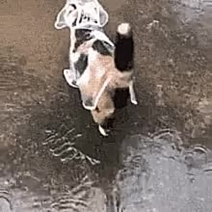 ��������� ������� ����������� ��������� ������