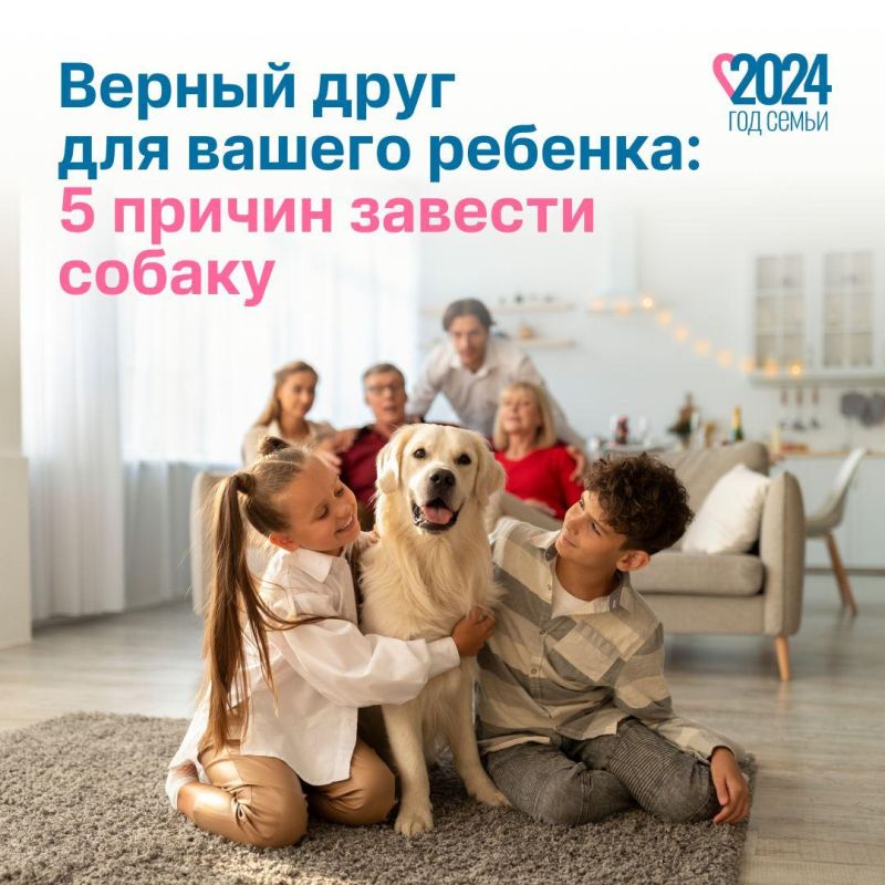100% �������� � 0% ������� � � ������� �� �������� ��������� � ����������, ������� ��������