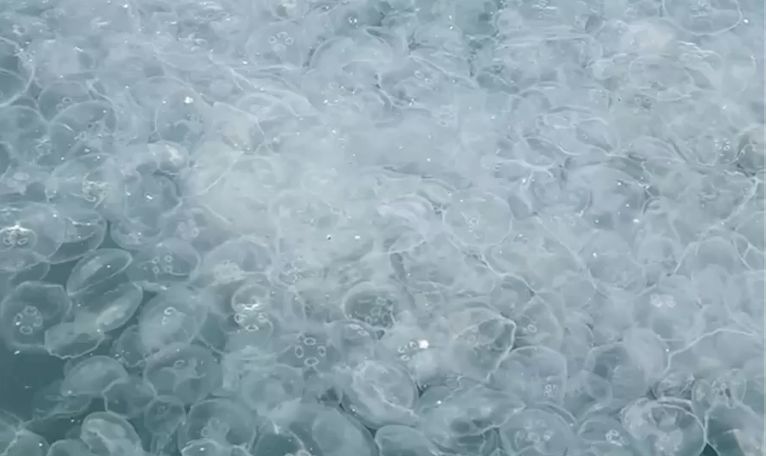 ��������� ����� � �����: ���� ������������ � ������