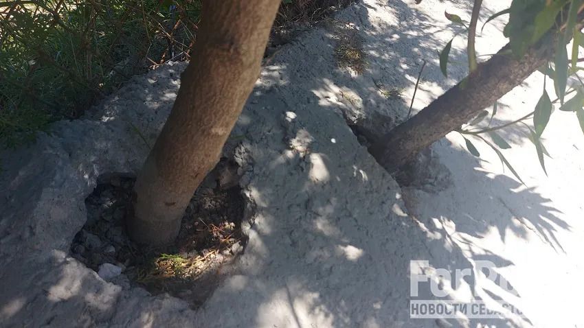 ����� �������, �� ����� ��� ����: ���������� � ����� ������� �� �������� ���������� ��������