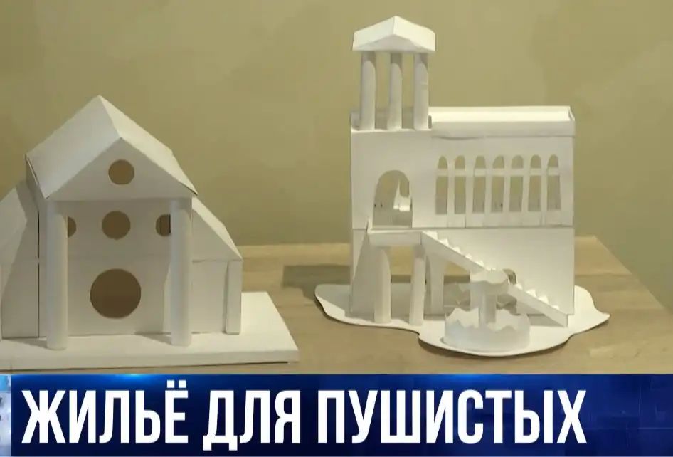 � ����������� �������� ������ ������ ���������