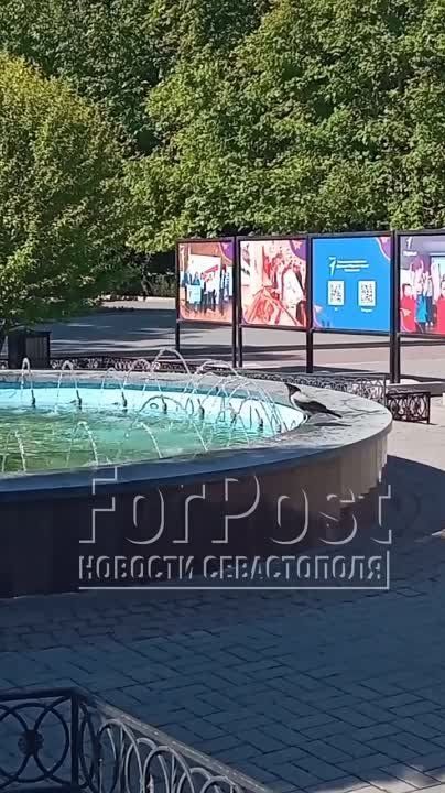 ����� ������� ������ ��� ���� ����������
