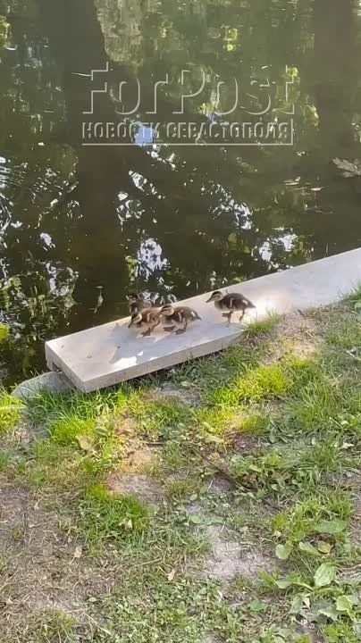 ������ ��� � �����. ������� ���� � ����������� ������ �������