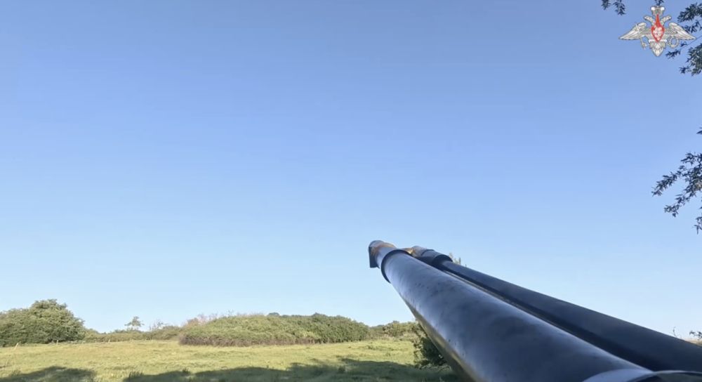 �� ����� � ���� ������������ ���� 41 ���� ���