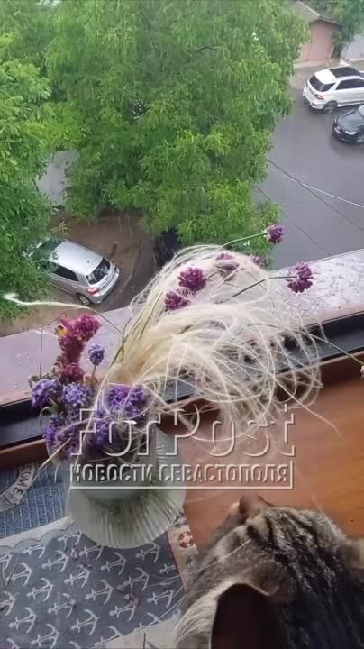 � � ����������� ��� � �����
