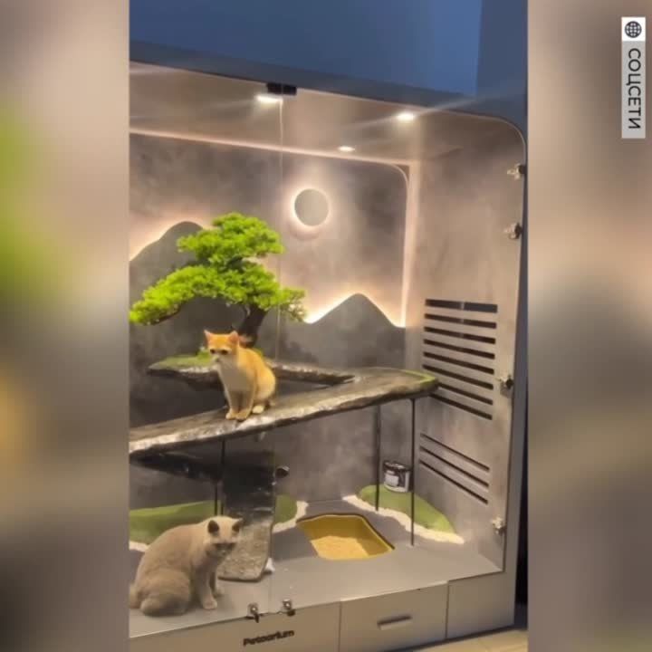 ��� ����� ����� ��������� ��������� ���� � ���������