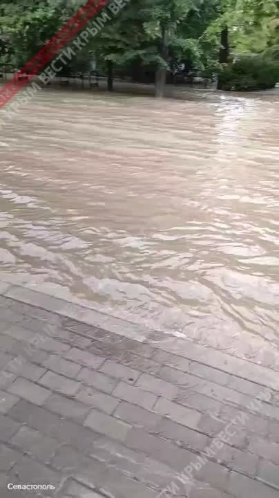 �� ������ ����������� ������ ������