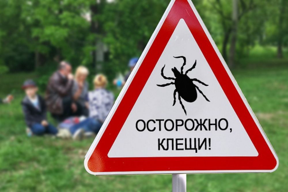 � ����� 11 ������� �������� �������� �����������