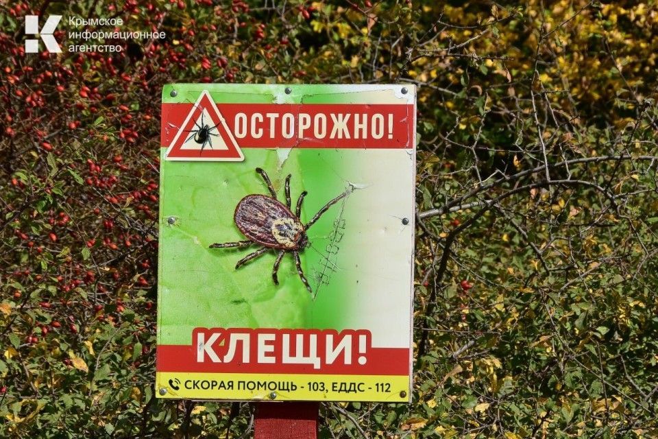 �� ������ � ����� 11 ������� ���������� �������� �����������