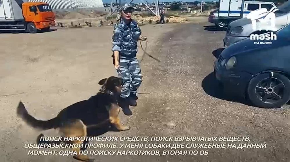 ������� �������� � ���, ��� ����� ���������� ������ ����������� ����� � �������� ��������