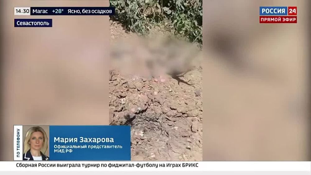 ����������� �.�.��������� ���������� ������� 24� �� ��������� ���������������� ����� ��������� ������ �� �.�����������