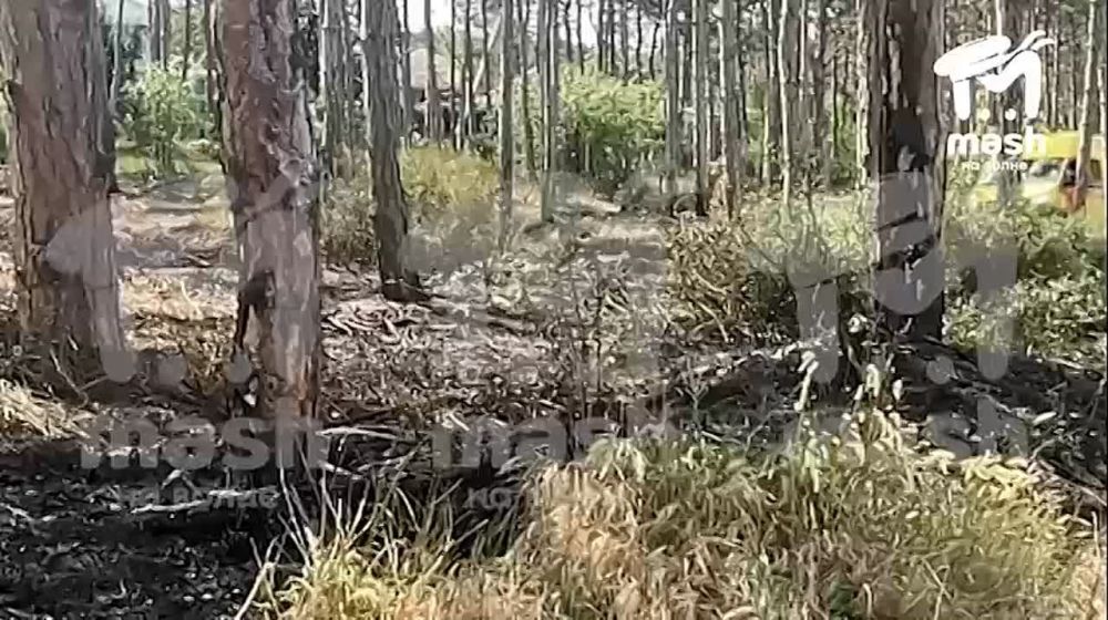 ���������� �� ��������������� �������� ����� ����� ���