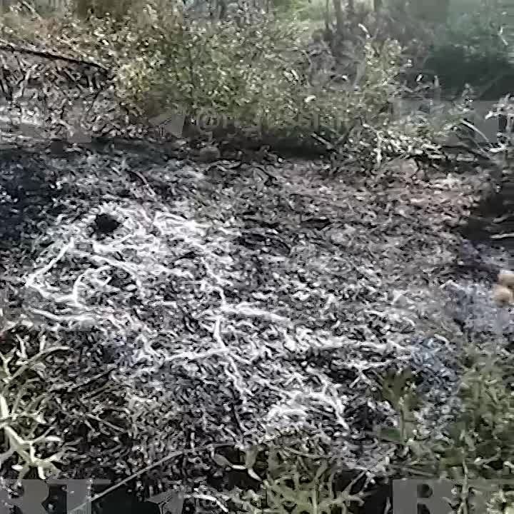 ������� �� ����������. ���� ���������