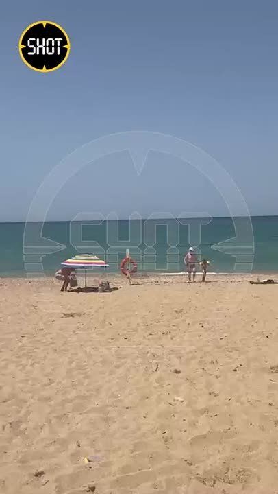�� 151 �������� ������� ����� ������������ ����� ����� ��� �� �����������