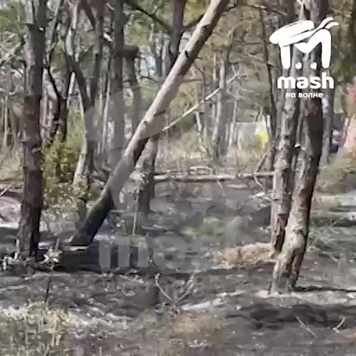 ������ ��� ����� ��������������� ����� ���� � �� ������ ��-�� ������� �������