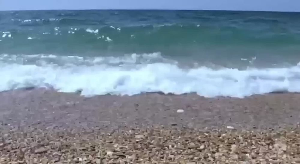 ��������������� ��������� ��������� ����� �������� � ������ ����� � �����������, ������������ 23 ����