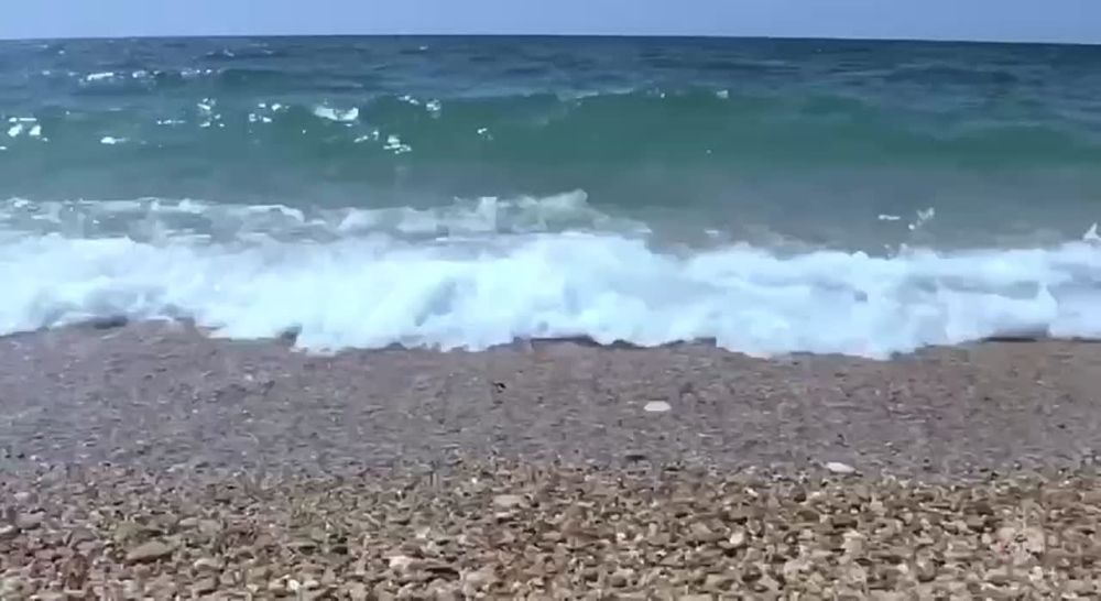 �������� ��� ������ �� ����������� ����������� ��������� ����� ��������� �����