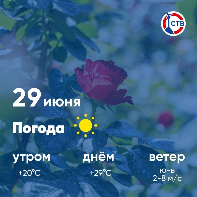 �������, 29 ����, � ������ ��������, ������ ���� �������� ��������� �����