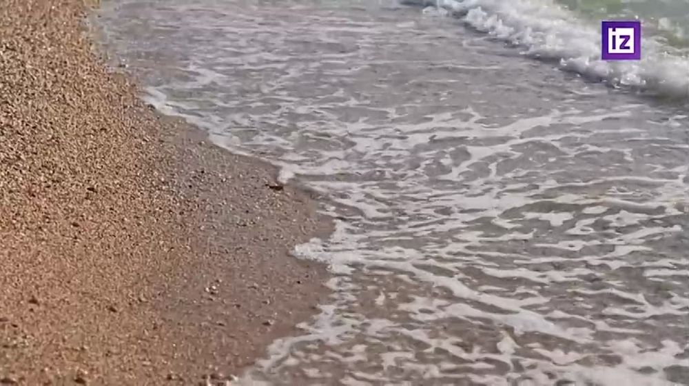 �� ����� �����������, ��� � �������� ������ ��������� ������ �� ������� ���, ���������� �������� �������