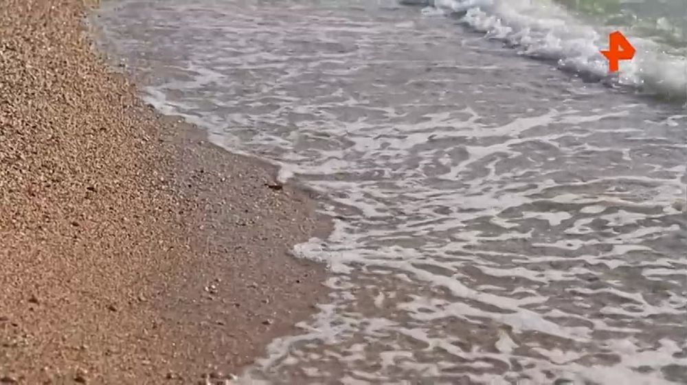 �� ����� �������� � �����������, ������� ����� ��� ������� ���, ���������� �������� �������