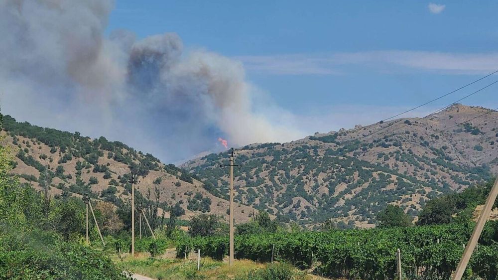 ������� �����: ������� ������� � ��������� ��������, 11 ����