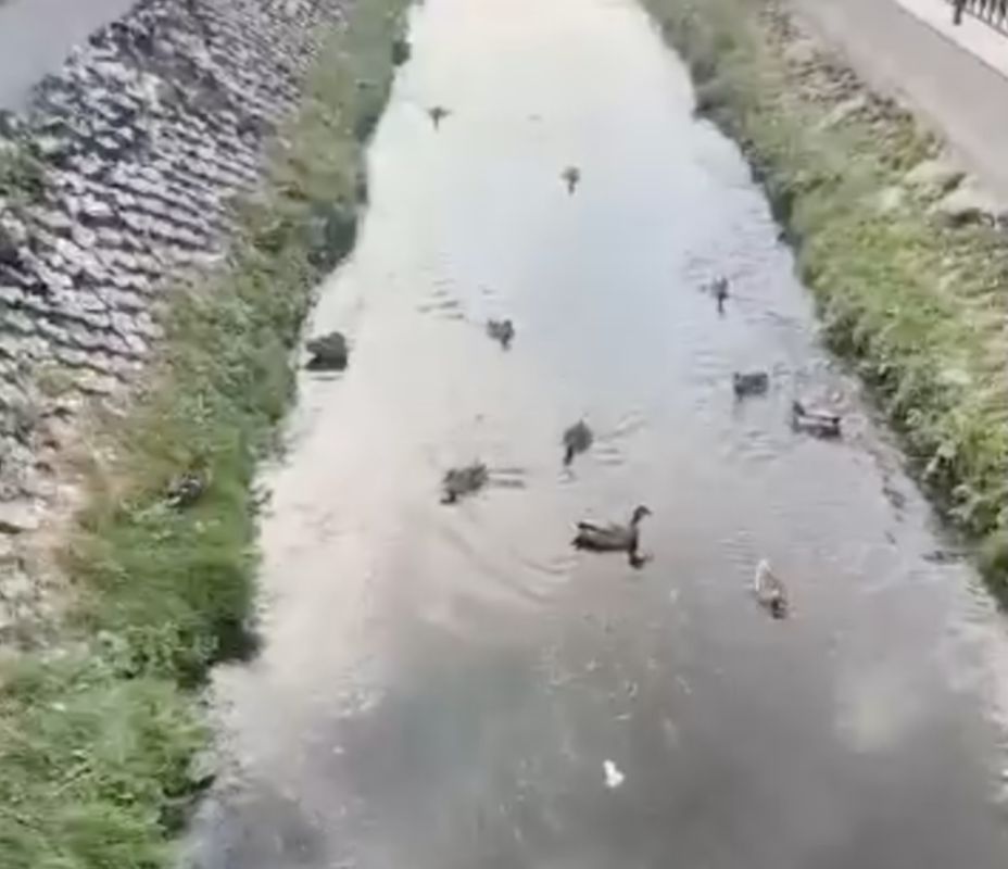 ���� � ���� �������� � ����������� ������ �������