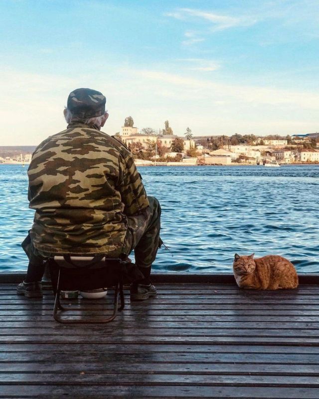 ������� �����: C ���� ������ ���������� ���������� � ��������� ������ �������!